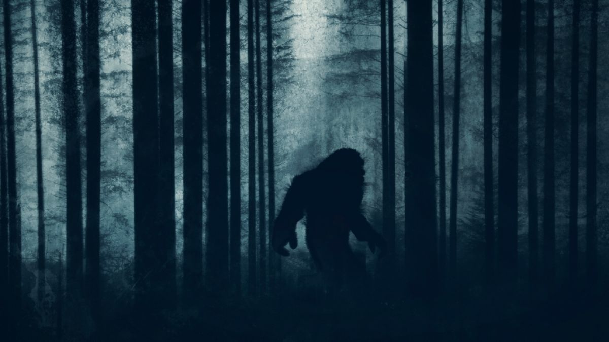 Treibt Bigfoot in den USA sein Unwesen? (Symbolfoto) (Foto)