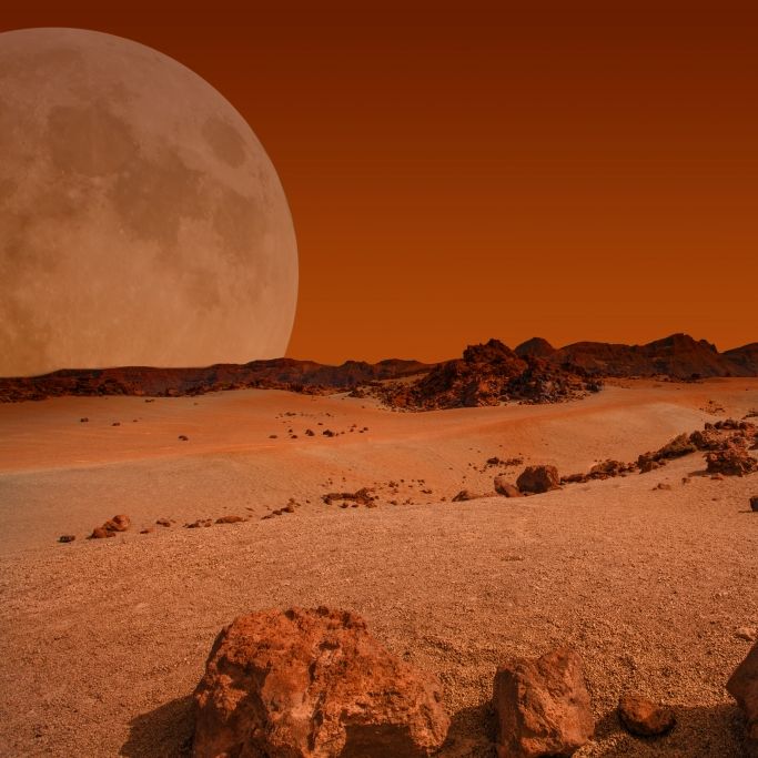 Menschliche Knochen auf dem Mars! Unser Ursprung wird enthüllt