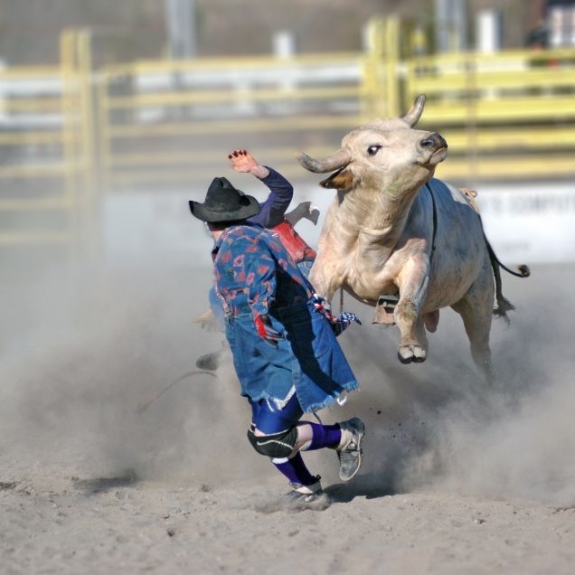Es war sein erstes Rodeo! 14-Jähriger von Stier totgetrampelt