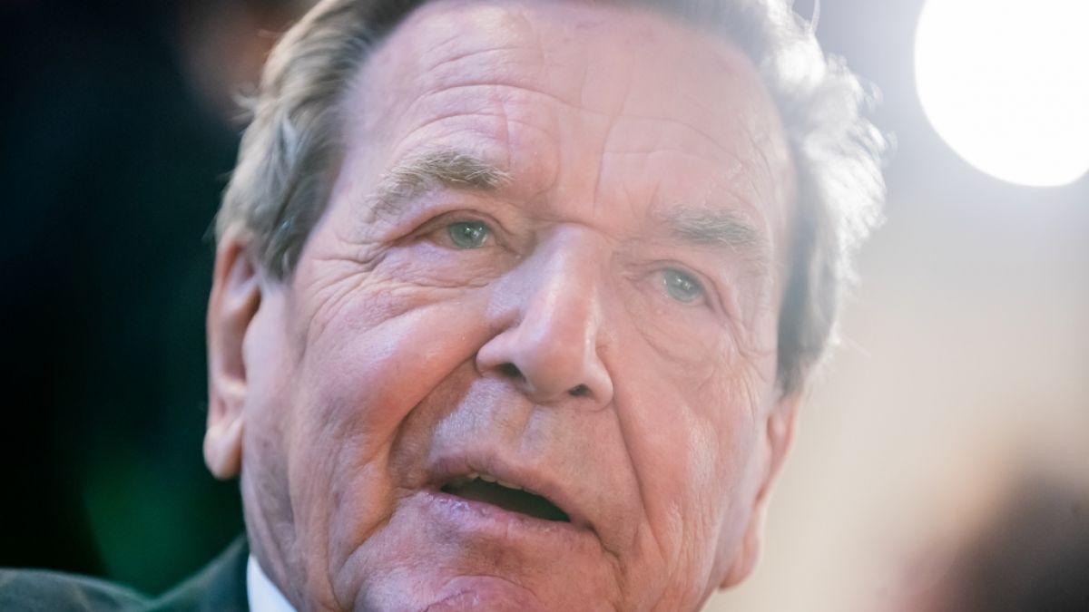 Gerhard Schröder sieht deutlich schlanker aus. (Foto)