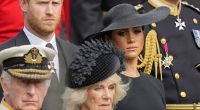 Für Prinz Harry ist Königin Camilla das personifizierte Böse.
