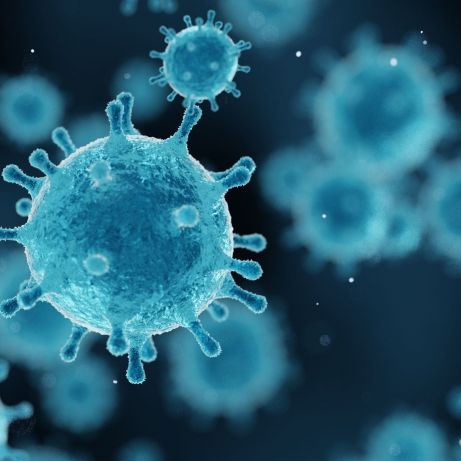 Immunität entdeckt? Forscher finden schützendes Protein