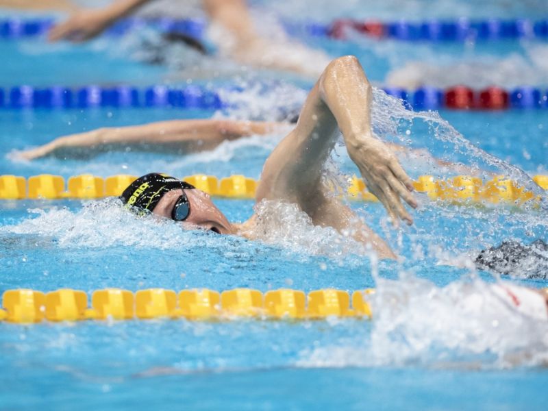 Schwimmen live im TV: Mit "Triathlon: T100 Triathlon World Tour Doha" und Co.! Diese Sendungen laufen heute