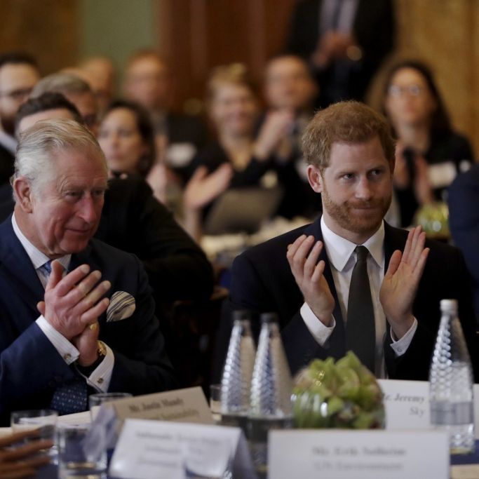 Prinz Harry enthüllt Gesundheitsprobleme Monarchen-Vater
