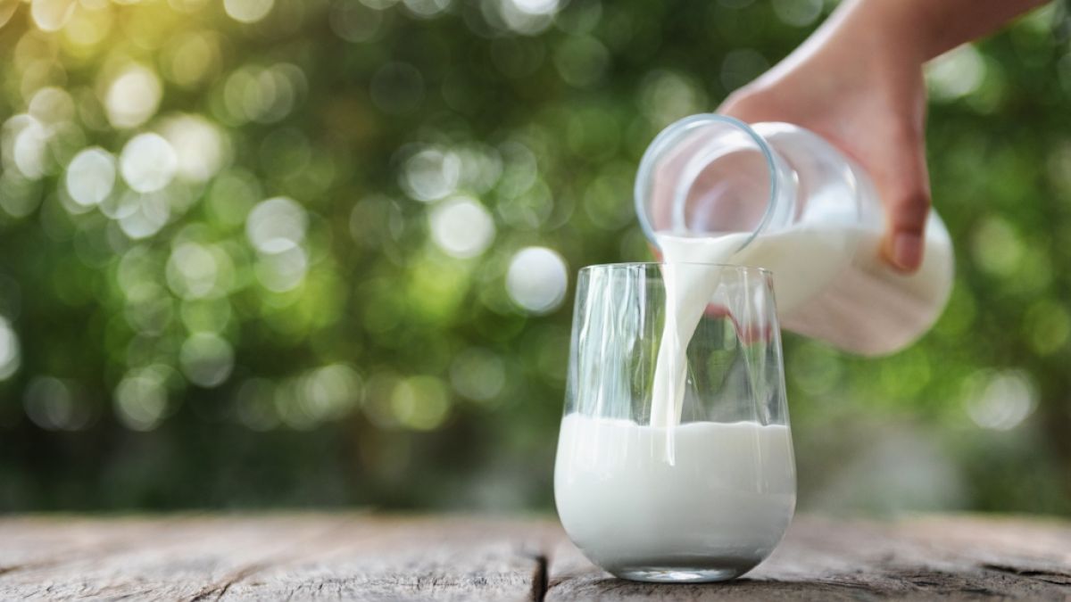 Die Milch macht's - doch welche Molkereiprodukte konnten die Produkttester von Stiftung Warentest am meisten überzeugen? (Foto)