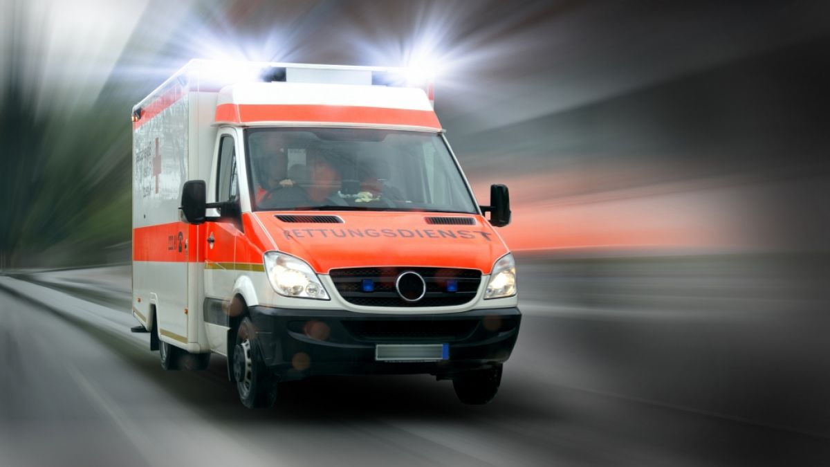 #Horror-Unfall in jener Steiermark: Reisebus stürzt Damm hinab! Deutscher Insasse (31) stirbt