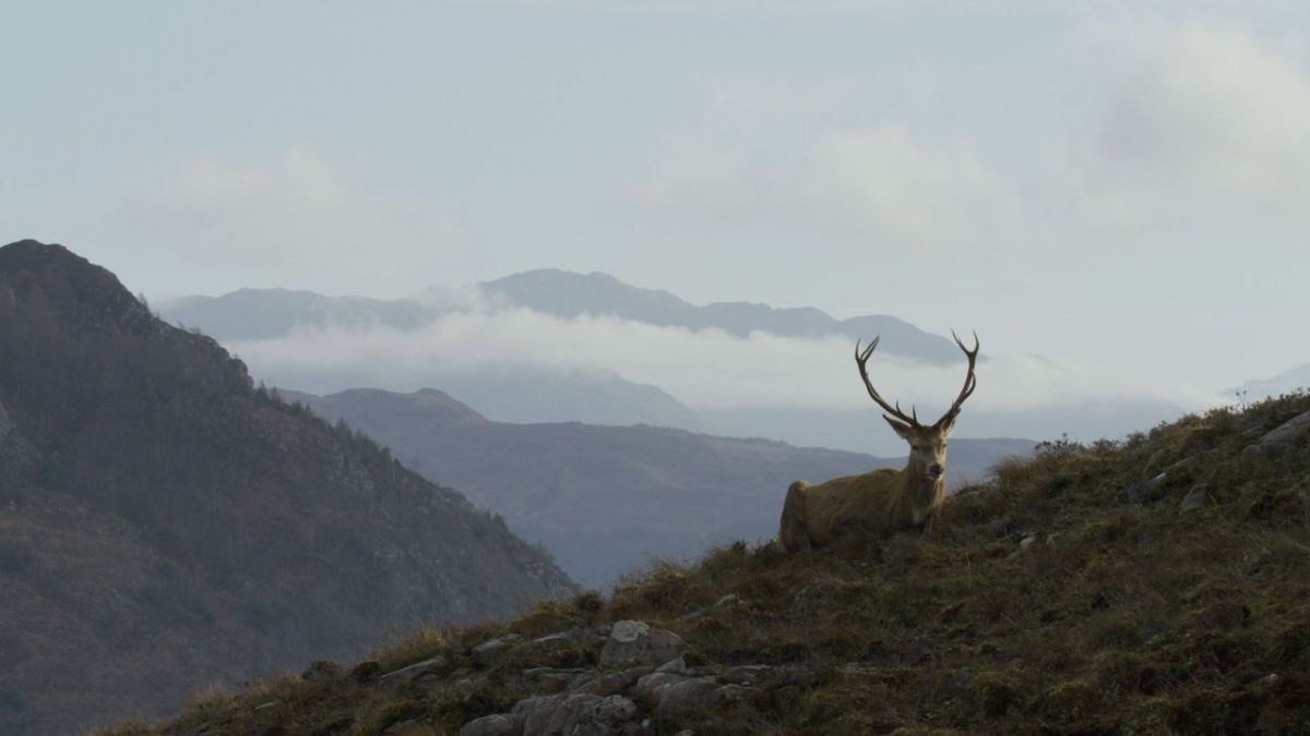 Schottlands wilde Jahreszeiten bei 3sat (Foto)