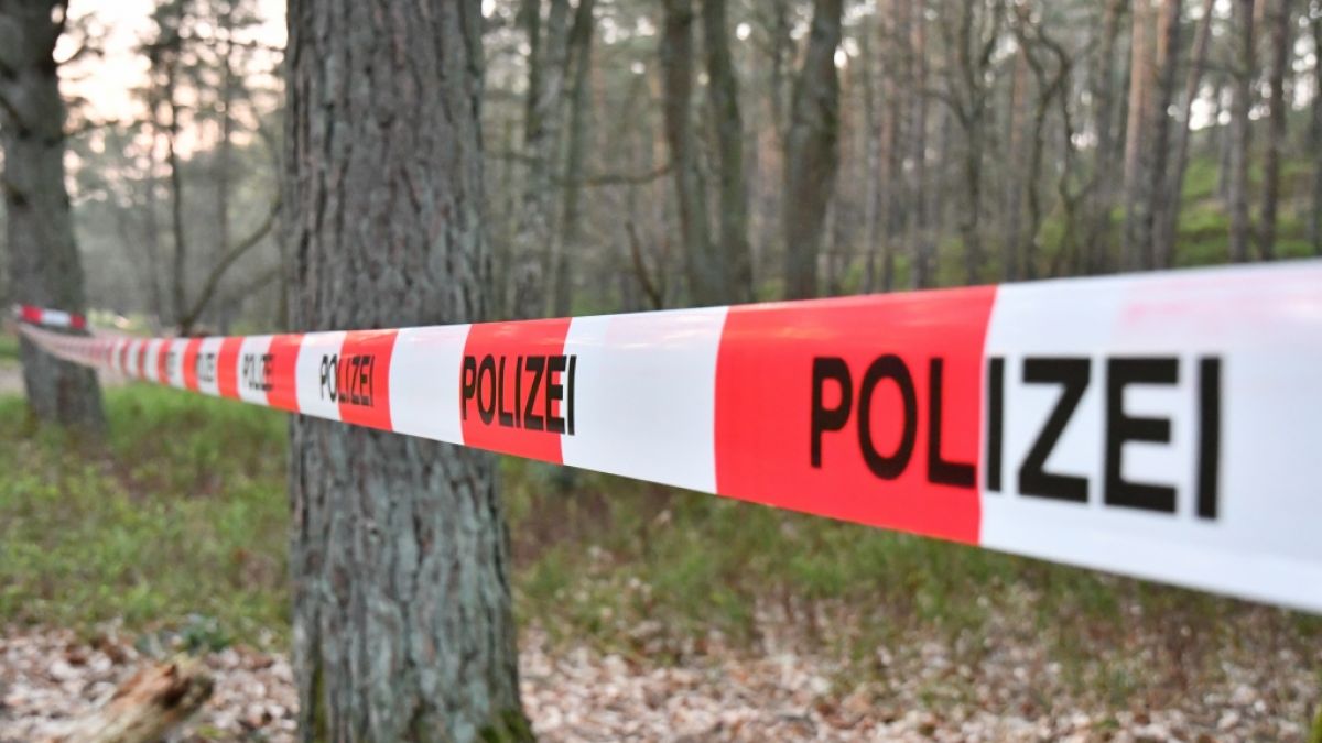 In einem Waldstück im Burgenlandkreis (Sachsen-Anhalt) sind die sterblichen Überreste der seit Jahren vermissten Studentin Yolanda Klug entdeckt worden (Symbolfoto). (Foto)