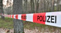 In einem Waldstück im Burgenlandkreis (Sachsen-Anhalt) sind die sterblichen Überreste der seit Jahren vermissten Studentin Yolanda Klug entdeckt worden (Symbolfoto).