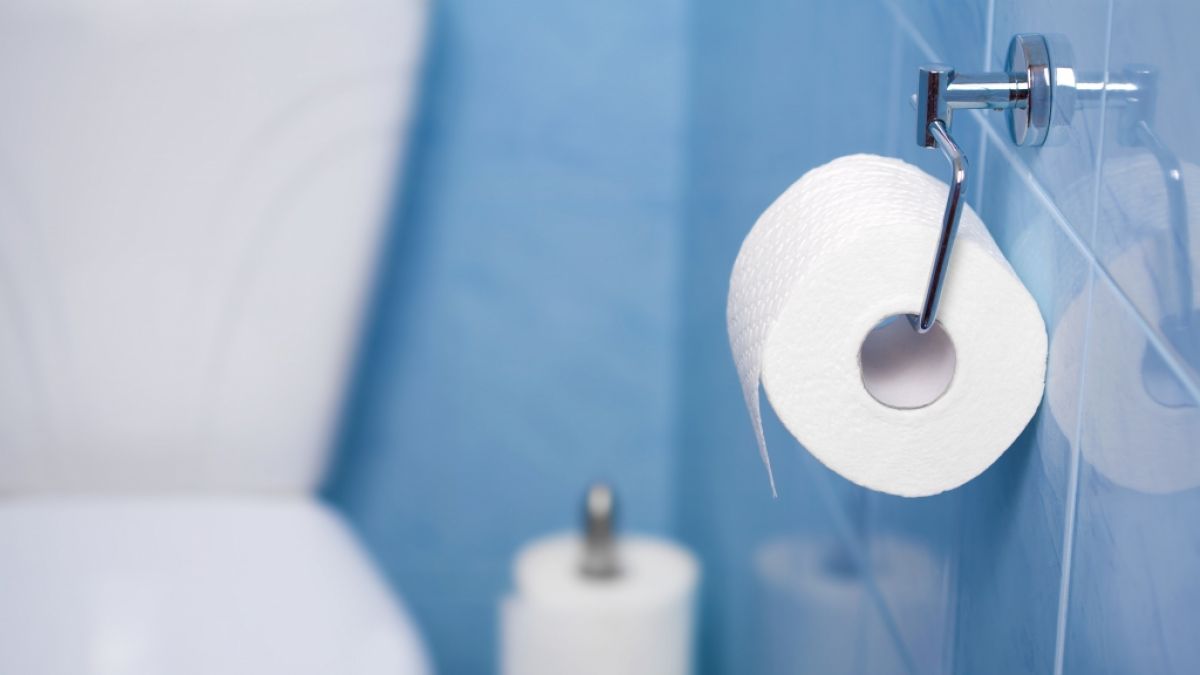 #Alarmierender PFAS-Fund: Forscher finden krebserregende Stoffe aus WC-Papier im Abwasser