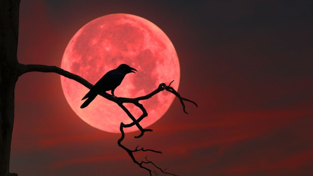 Im März leuchtet ein Krähenmond am Nachthimmel. (Foto)