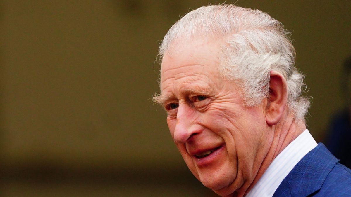 Ein Experte befürchtet, dass König Charles III. keine Beziehung zu Prinz Harrys Kindern haben wird. (Foto)