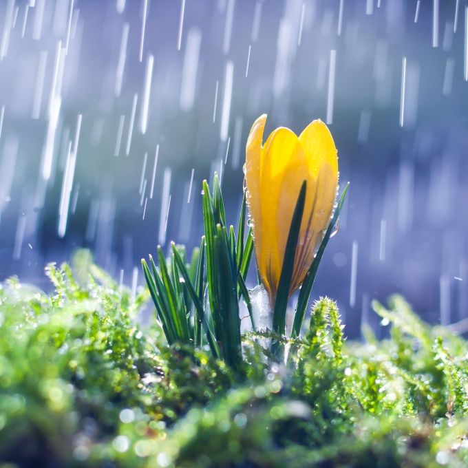 Wetter-Experten schocken mit Prognose! Fällt der Frühling ins Wasser?