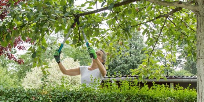Schutz für den Schrebergarten