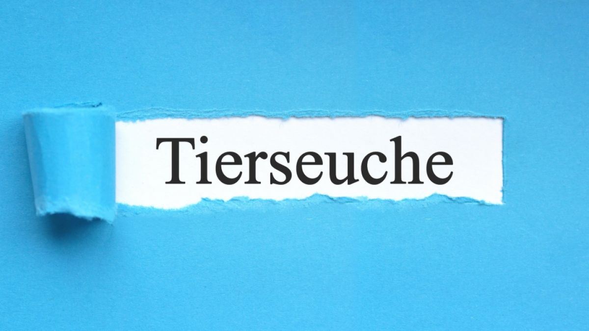 Bleiben Sie sicher und gut informiert mit den Bev&ouml;lkerungswarnungen von news.de . (Foto)