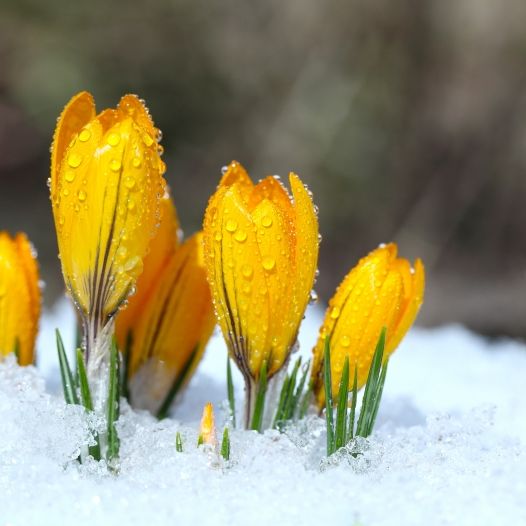 Winter-Schock kurz vor Ostern! HIER drohen 30 Zentimeter Neuschnee