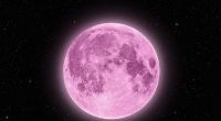 Im April wartet neben einem rosa Vollmond auch der Sternschnuppenstrom der Lyriden auf.