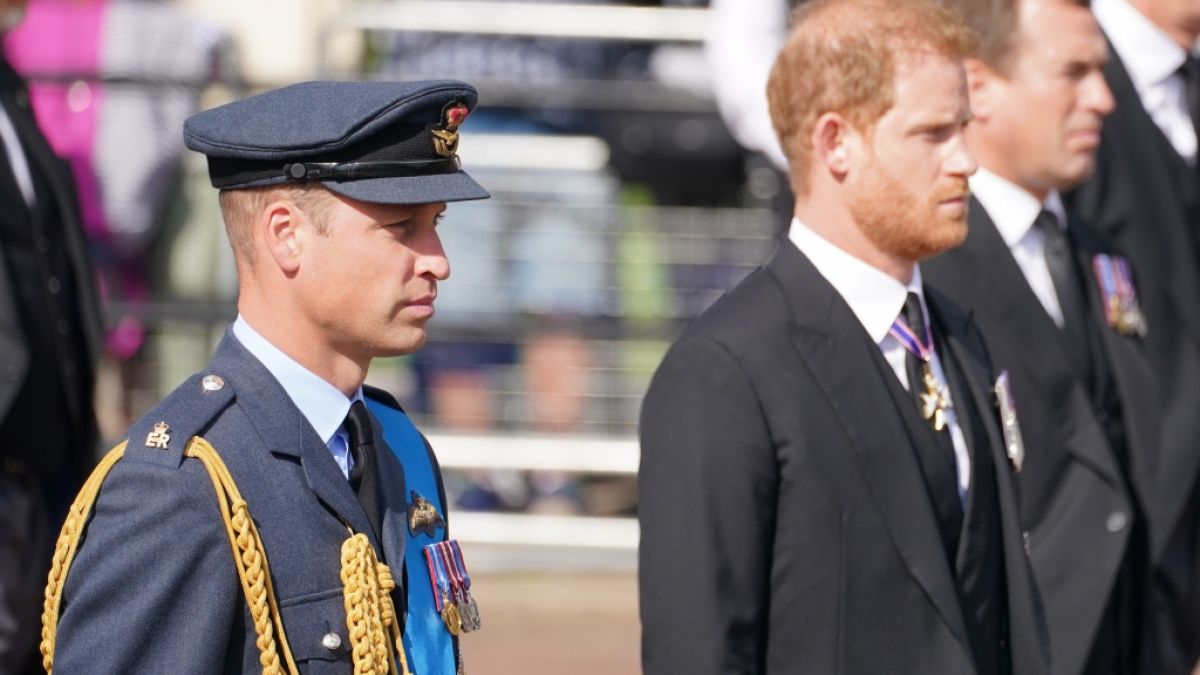 Sowohl Prinz William als auch Prinz Harry blicken auf eine Karriere beim Militär zurück - Erfahrungen im Kriegsgebiet konnte jedoch nur einer der Brüder sammeln. (Foto)