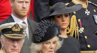 Nicht nur König Charles und Königin Camilla, auch Prinz Harry und Meghan Markle fanden sich dieser Tage in den Royals-News wieder.