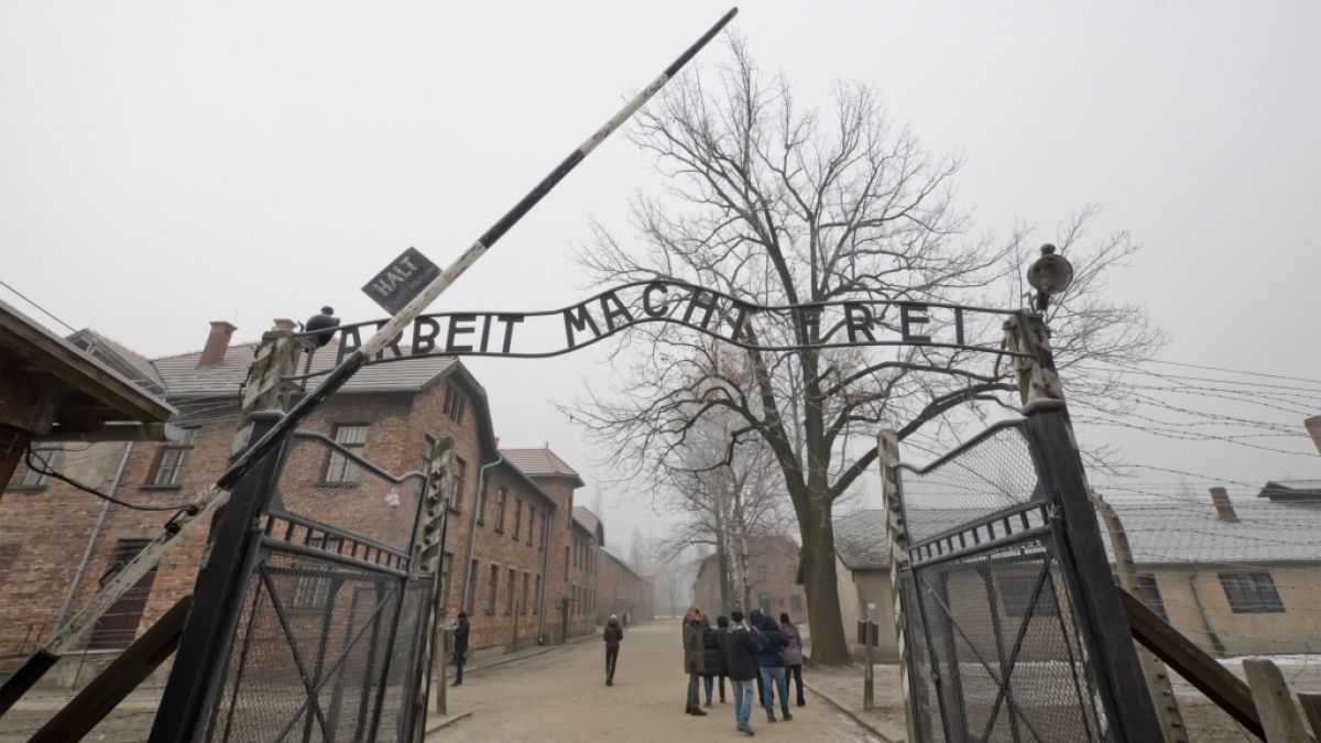 Ein geschmackloses Tour-Foto vor dem KZ-Auschwitz sorgt für Fassungslosigkeit. (Symbolbild) (Foto)