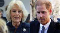 Auf ein Wiedersehen mit ihrem Stiefsohn Prinz Harry dürfte Königin Camilla keine sonderlich große Lust haben.