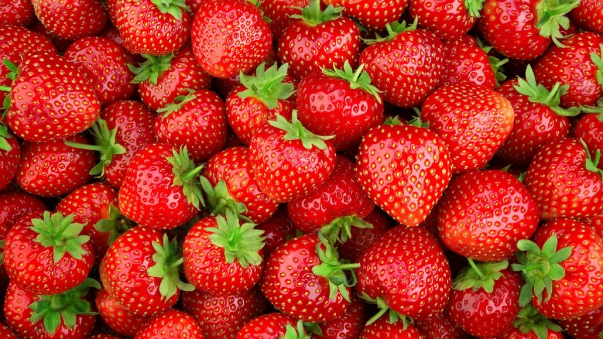 Ökotest hat Früherdbeeren aus dem Supermarkt genauer unter die Lupe genommen. (Foto)