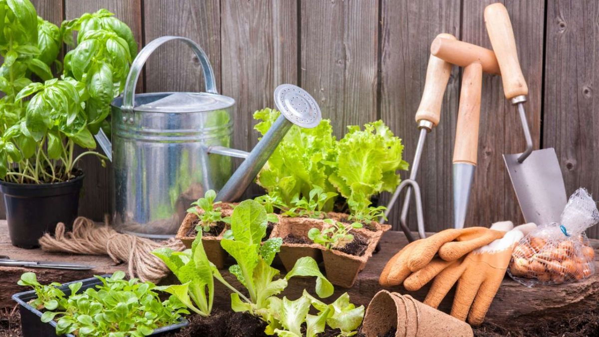 "Duell der Gartenprofis Lieblingsgärten" bei ZDFneo nochmal sehen