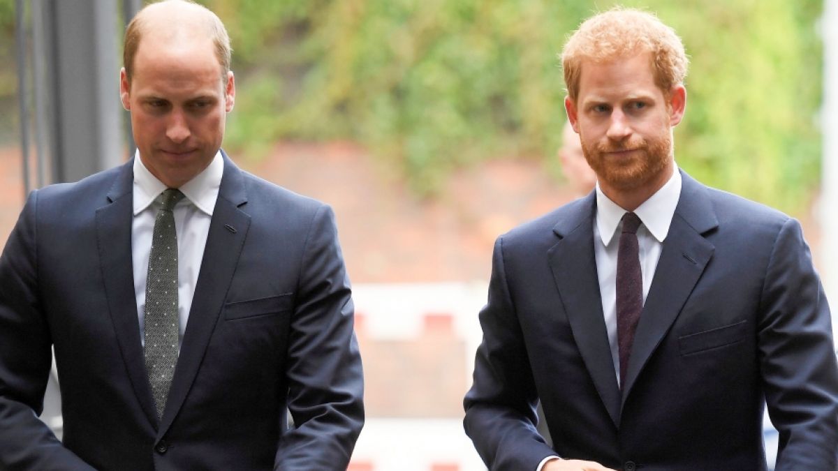 Die Beziehung zwischen Prinz Harry und Prinz William wird durch die jüngsten Enthüllungen erneut auf eine harte Probe gestellt. (Foto)