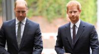 Die Beziehung zwischen Prinz Harry und Prinz William wird durch die jüngsten Enthüllungen erneut auf eine harte Probe gestellt.