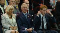 Das wird Papa Charles gar nicht gefallen: Prinz Harry teilt erneut gegen Stiefmama Camilla aus.