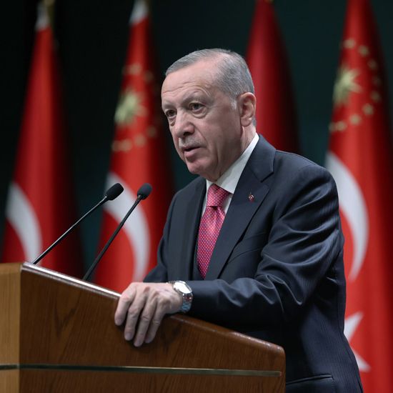 Live-Interview abgeWÜRGt! Türkischer Präsident zu krank für Wahlkampf-Termine