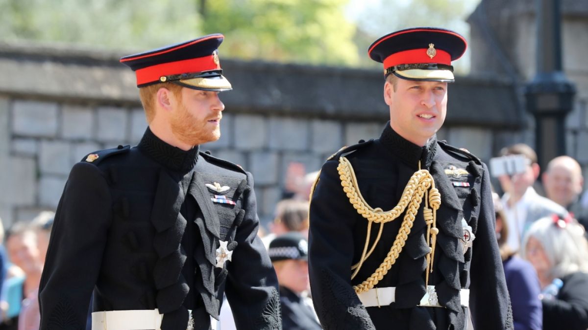 Um zu beweisen, dass König Charles tatsächlich sein Vater ist, fordert Simon Charles Dorante-Day Prinz William und Prinz Harry zu einem DNA-Test auf. (Foto)