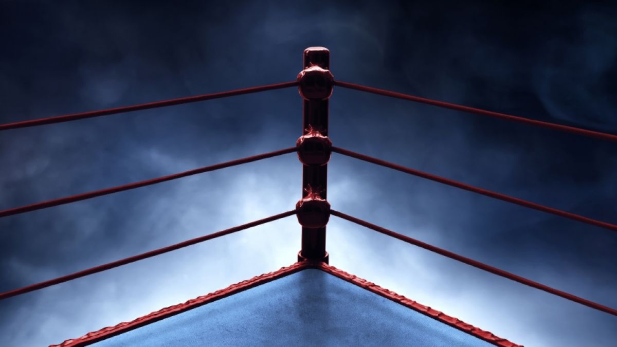 Wrestling-Star CJ Perry bringt ihre Fans im Netz ins Schwitzen. (Foto)