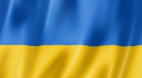 Zwischen russischen und ukrainischen Vertretern kam es bei einem Gipfel-Treffen jetzt zu einem Faustkampf wegen der ukrainischen Flagge.