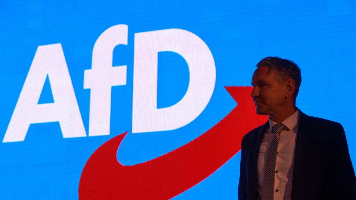 Kann die AfD (im Bild: Thüringens Landessprecher Björn Höcke) stärkste Kraft bei den Landtagswahlen 2024 im Osten werden? (Foto)