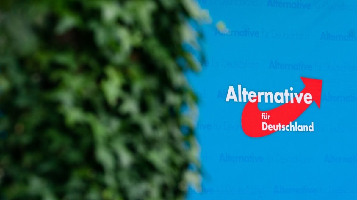 Kann die AfD bei den anstehenden Wahlen in Deutschland große Erfolge feiern? (Foto)