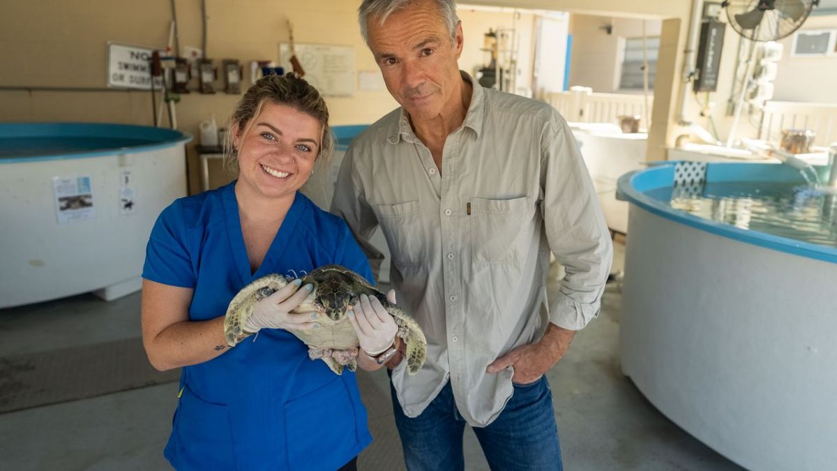 Hannes Jaenicke: Im Einsatz für Meeresschildkröten bei ZDF (Foto)
