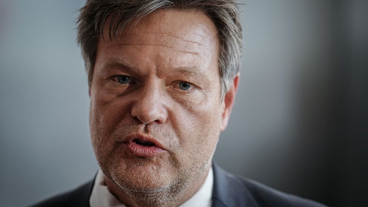 FDP plant Boykott von Robert Habecks geplantem Heiz-Gesetz. (Foto)