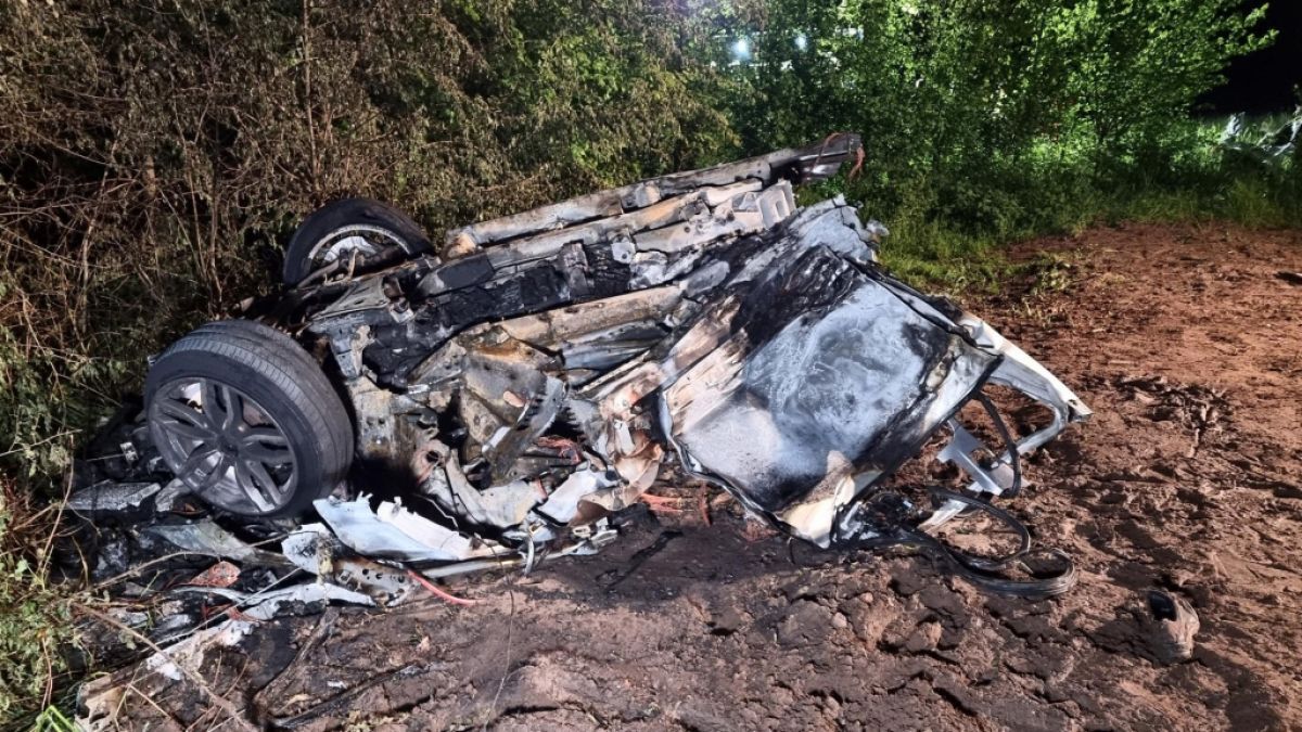 Der hintere Wagenteil ist völlig ausgebrannt: Bei einem Unfall auf einer Landstraße im Emsland kamen ein Vater (42) und sein zwölfjähriger Sohn ums Leben. (Foto)