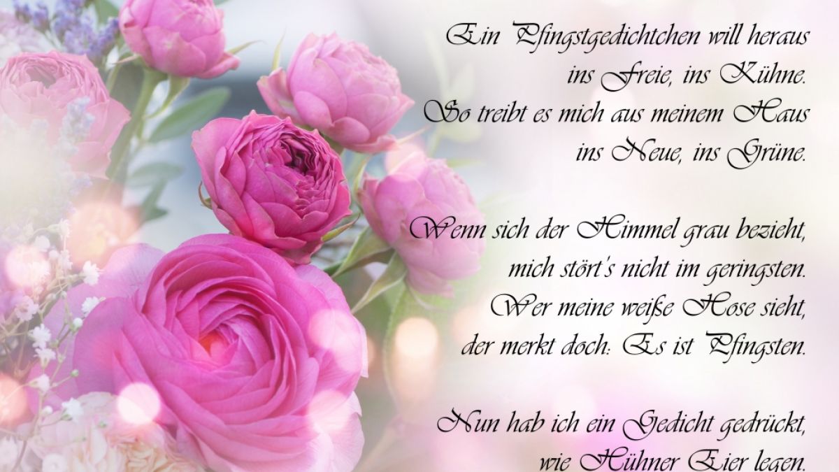 Wie wäre es mit einem Gedicht an Pfingsten? Wie wäre es mit einem Gedicht an Pfingsten? (Foto)