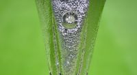 Der FC Sevilla schnappte sich den Europa-League-Pokal.