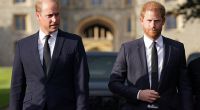 Bei den Prinzen William und Harry gab's aktuellen Royals-News zufolge Redebedarf - einen bestimmten Vertrauten wollten die Brüder unbedingt dabeihaben.