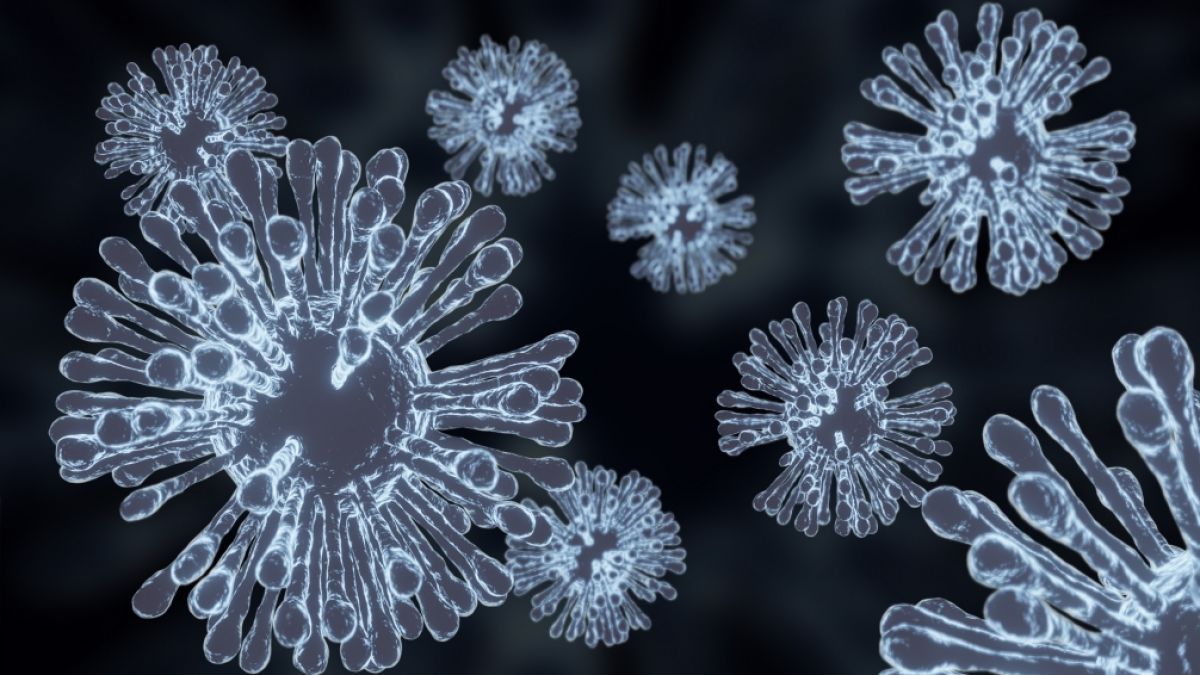 Forscher sind nach der Ausbreitung von Influenza-A(H5N1)-Viren der Klade 2.3.4.4b besorgt. (Symbolfoto) (Foto)
