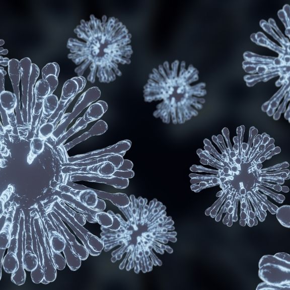 Forscher warnen nach Virus-Ausbreitung! Droht eine neue Pandemie?