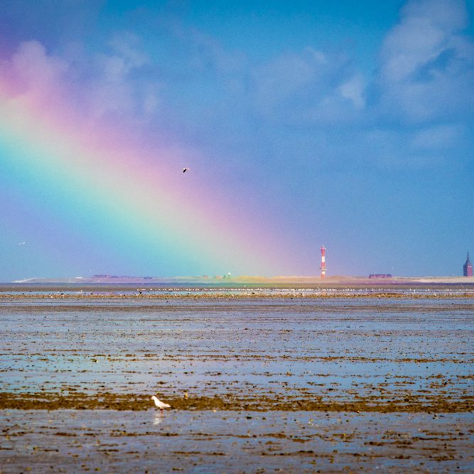 Wie kalt die Nordsee am beliebten Badeort aktuell ist