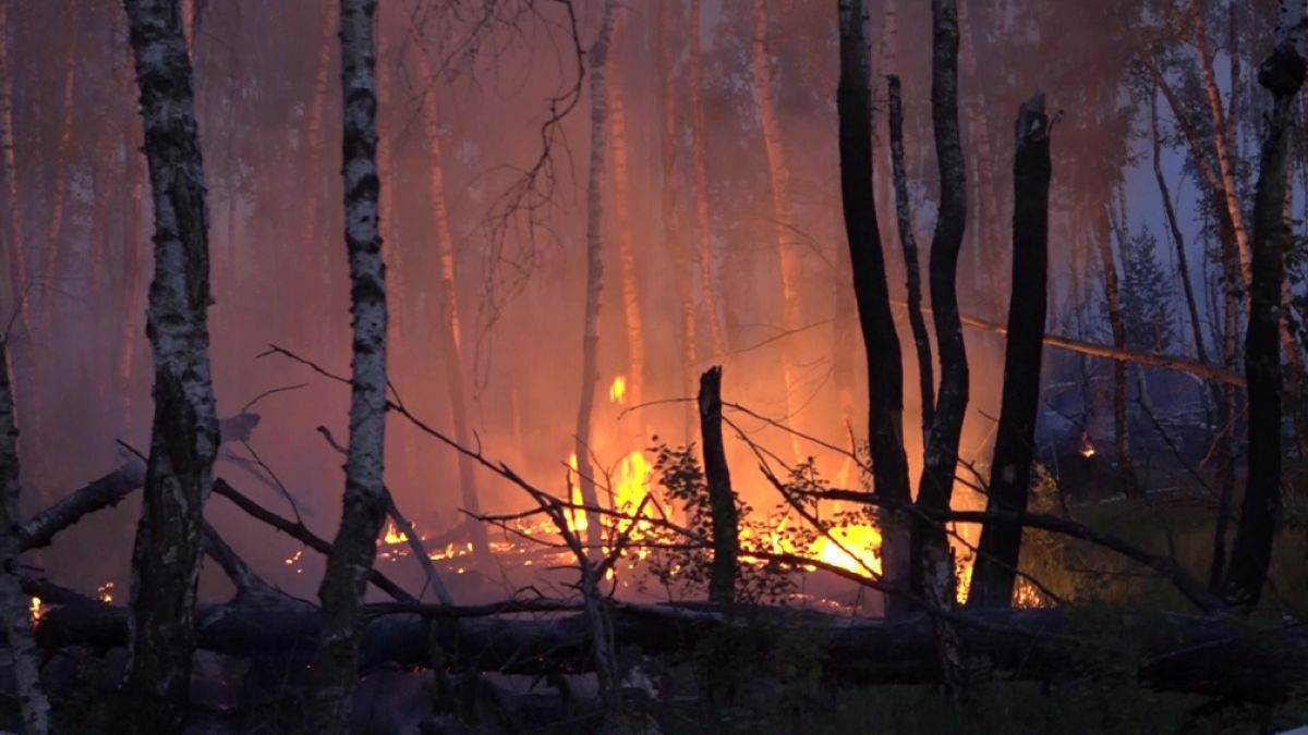 #Waldbrände 2023 neoterisch im News-Ticker: Weiterem Ortsteil von Lübtheen droht Räumung wegen Waldbrand