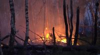 In einem munitionsbelasteten Gebiet bei Jüterbog (Landkreis Teltow-Fläming) ist ein Waldbrand ausgebrochen.