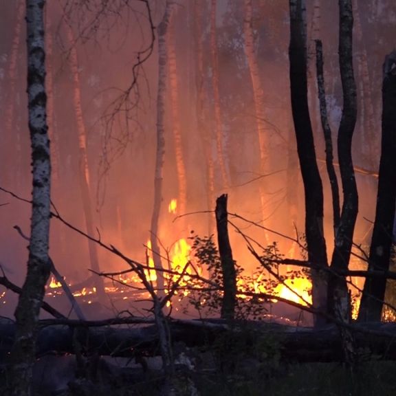 Feuer auf ehemaligem Militärgelände ausgebrochen! Feuerwehr kämpft gegen Flammen