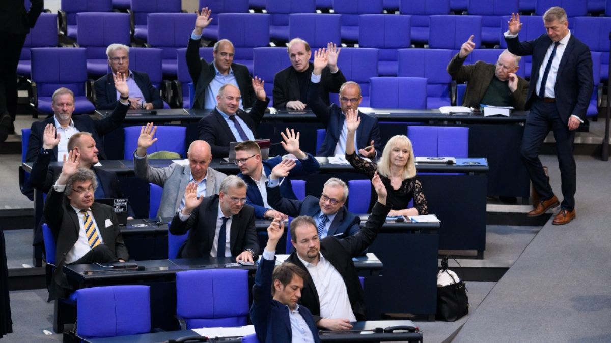 Die AfD-Bundestagsfraktion stimmt bei einer Plenarsitzung ab. Warum ist die Partei aktuell so erfolgreich? (Foto)