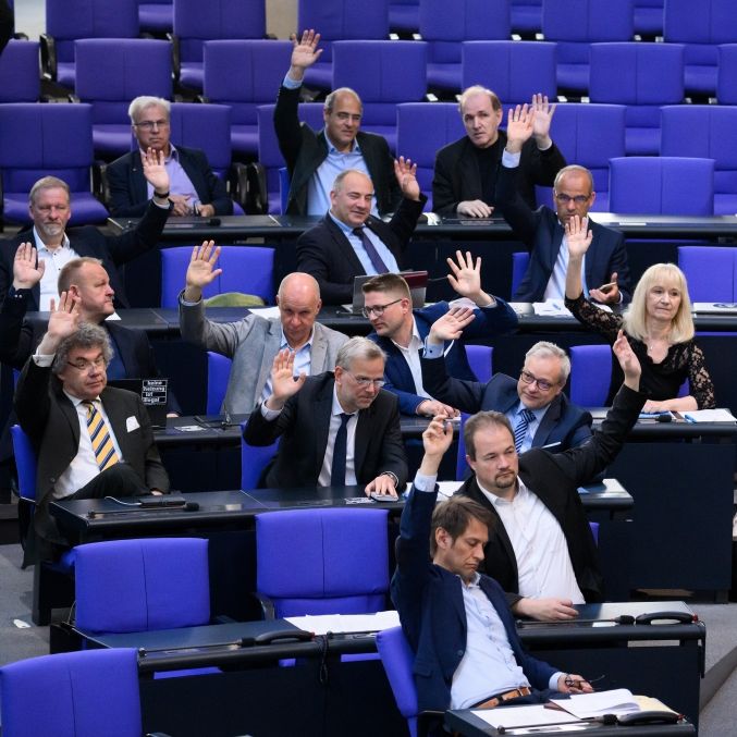Die AfD-Bundestagsfraktion stimmt bei einer Plenarsitzung ab. Warum ist die Partei aktuell so erfolgreich?